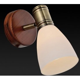 Спот Sharyl TL3720Y-01BB