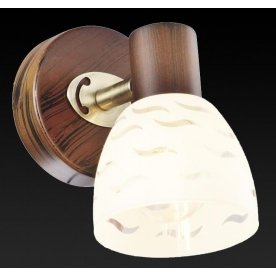 Спот Shayla TL3730Y-01BB