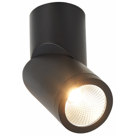 Спот ST650.442.10