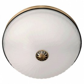 Накладной светильник Ангел 2 295013402