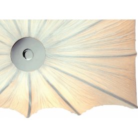 Накладной светильник Tela SL356.501.03