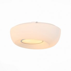 Настенно-потолочный светильник Botone SL467.502.02