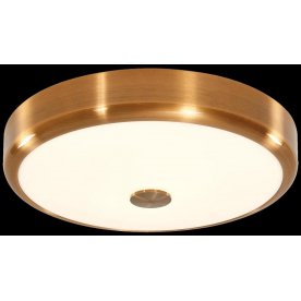 Настенно-потолочный светильник Фостер-1 CL706132