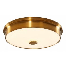 Настенно-потолочный светильник Фостер-2 CL706232