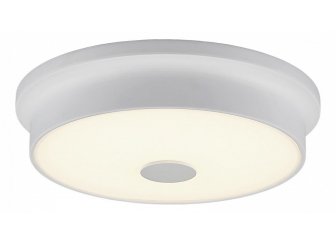 Настенно-потолочный светильник Фостер CL706220