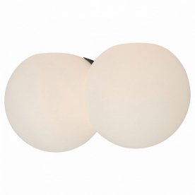 Настенно-потолочный светильник Orbe SL809.501.02