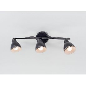 Настенно-потолочный светильник Робуста CL509532