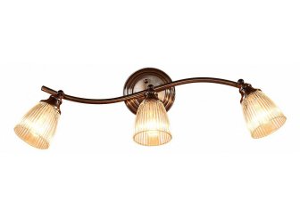 Настенно-потолочный светильник Виндзор CL539531