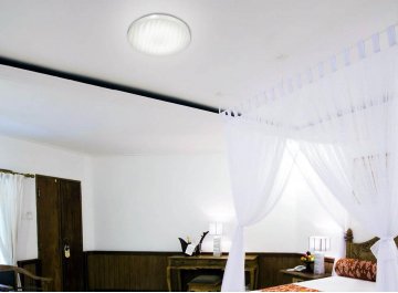 Настенно-потолочный светильник Wave 2040/DL