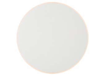 Настенный светильник FR6002WL-L20W