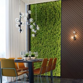 Настенный светильник 4818/3W