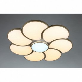 Потолочный светильник Arielli OML-18507-94