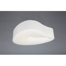 Потолочный светильник OML-455 OML-45507-25