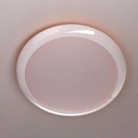 Потолочный светильник Ривз 674014101