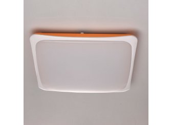 Потолочный светильник Ривз 674014601