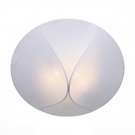 Потолочная люстра Tonico SL360.552.02