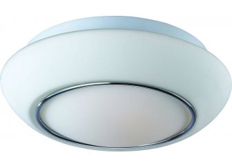 Потолочный светильник ST Luce Bagno SL497.502.01