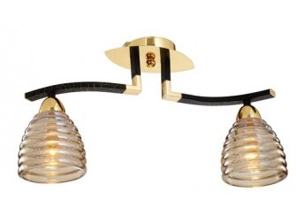 Потолочный светильник ST Luce SL325.202.02