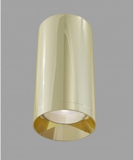 Потолочный светильник C010CL-01G