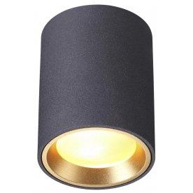 Потолочный светильник Aquana 4205/1C