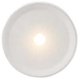 Потолочный светильник Arthur 55005-3