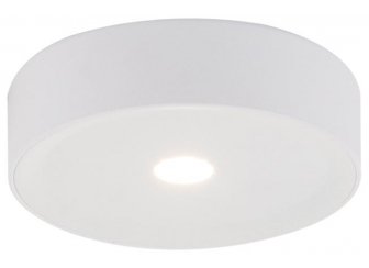 Потолочный светильник Arthur 55005-3