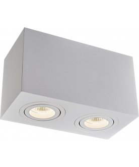 Потолочный светильник C017CL-02W