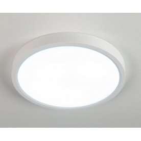 Потолочный светильник Бейсик CL738180V