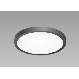 Потолочный светильник Бейсик CL738181V