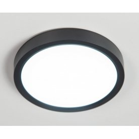 Потолочный светильник Бейсик CL738181V