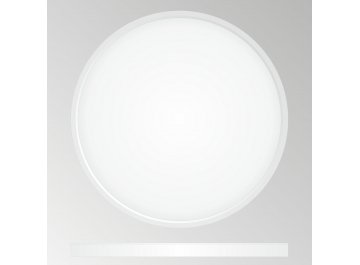 Потолочный светильник Бейсик CL738320V