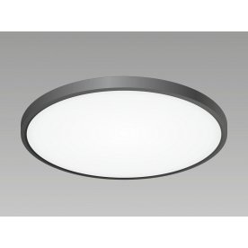 Потолочный светильник Бейсик CL738401V