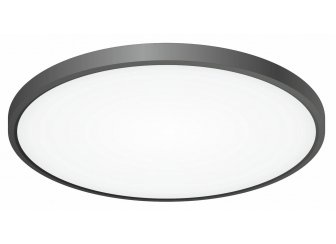 Потолочный светильник Бейсик CL738401V