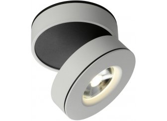 Потолочный светильник OML-101909-12