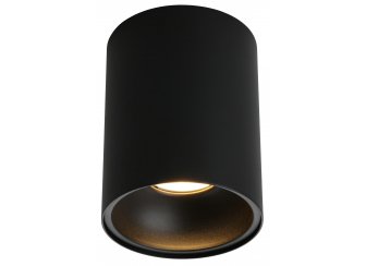 Потолочный светильник Cariano OML-101219-01