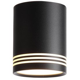 Потолочный светильник Cerione