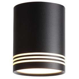 Потолочный светильник ST101.442.12