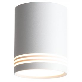 Потолочный светильник Cerione