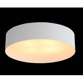 Потолочный светильник Chio SL392.502.04