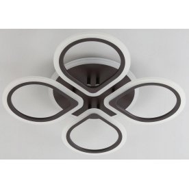 Потолочный светильник CL235A145E