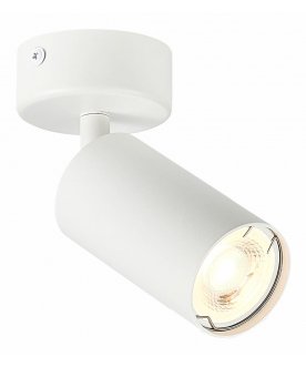 Потолочный светильник ST303.502.01