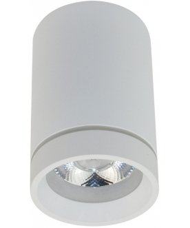 Потолочный светильник APL.0054.09.10