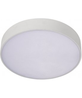 Потолочный светильник APL.0113.09.24