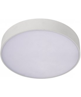 Потолочный светильник APL.0114.09.24