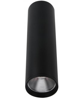 Потолочный светильник 08570-20,19