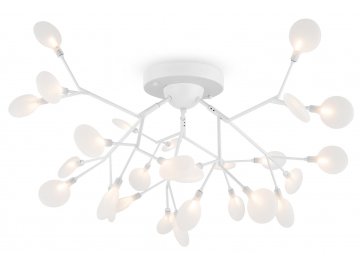 Потолочный светильник Florencia FR5049CL-27W2