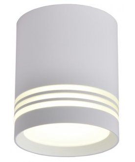 Потолочный светильник Fortezza OML-100109-12