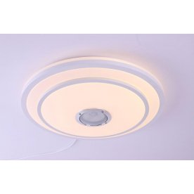 Потолочный светильник LBS-2005