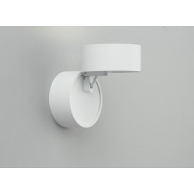 Потолочный светильник Lenno OML-101309-12