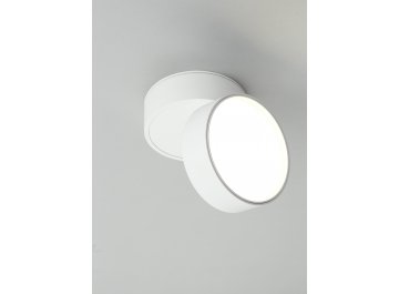 Потолочный светильник Lenno OML-101309-18